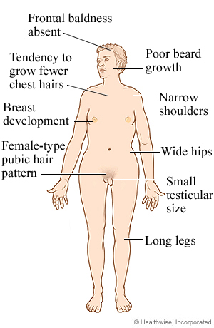 Where in the body is testosterone produced